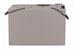 [BAT412105164] 12V/115Ah AGM Telecomm Batt. (M8)